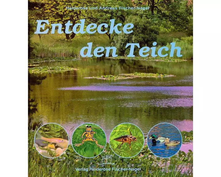 Entdecke den Teich