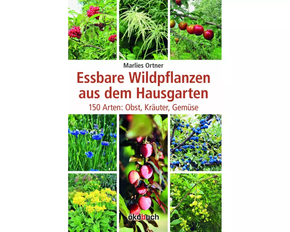 Essbare Wildpflanzen aus dem Hausgarten