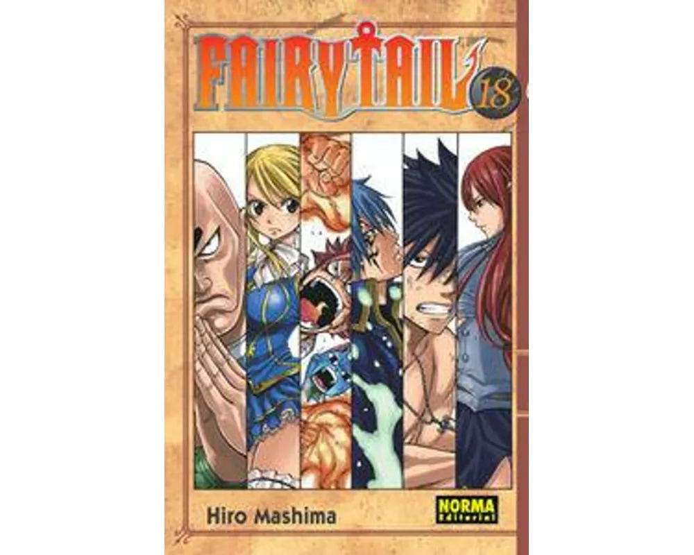 Fairy Tail 18