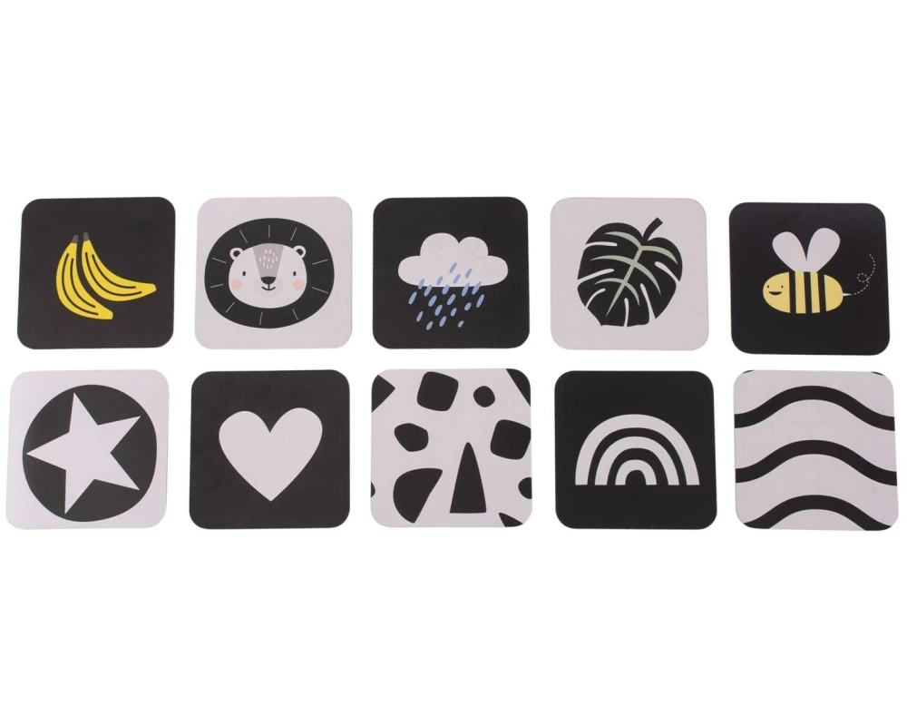 TAF-TOYS Meine ersten Spielkarten 0M+