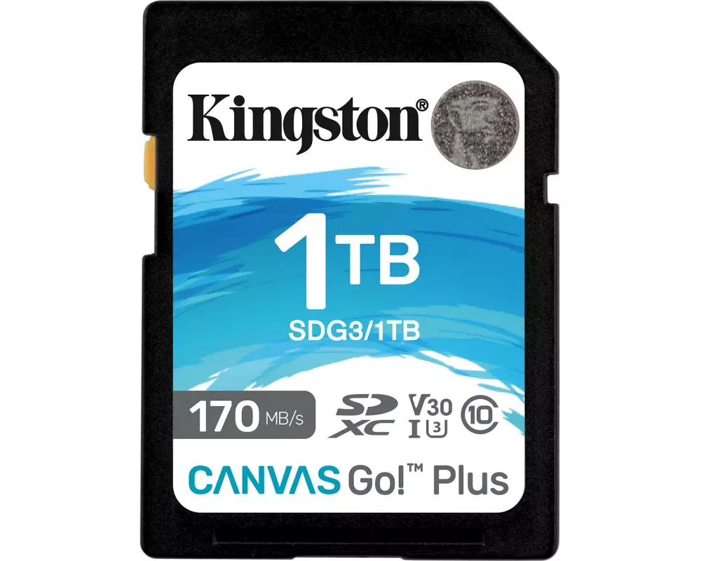 Kingston SDXC-Karte Canvas Go! Plus UHS-I U3 V30 1 TB