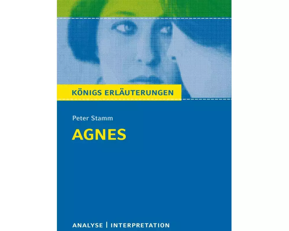 Agnes von Peter Stamm