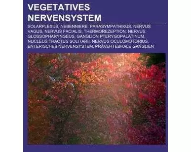 Vegetatives Nervensystem