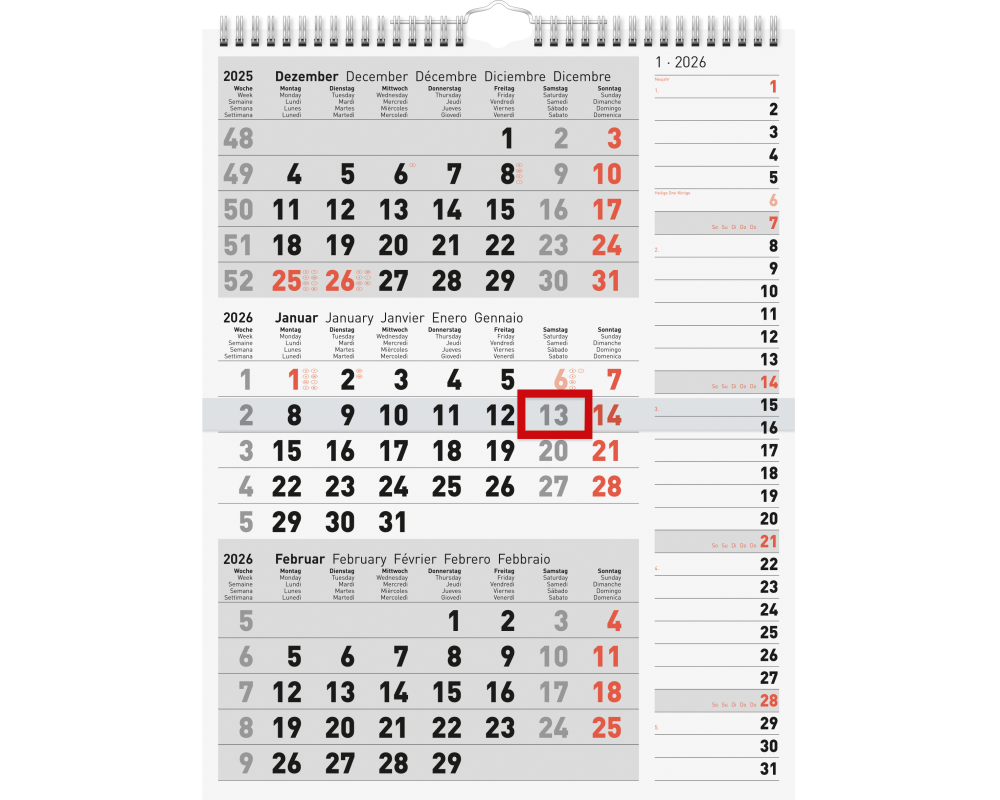 RIDOIDE 3-Monats-Kombiplaner 2026 7033330006.26 3M/1S 30x39cm
