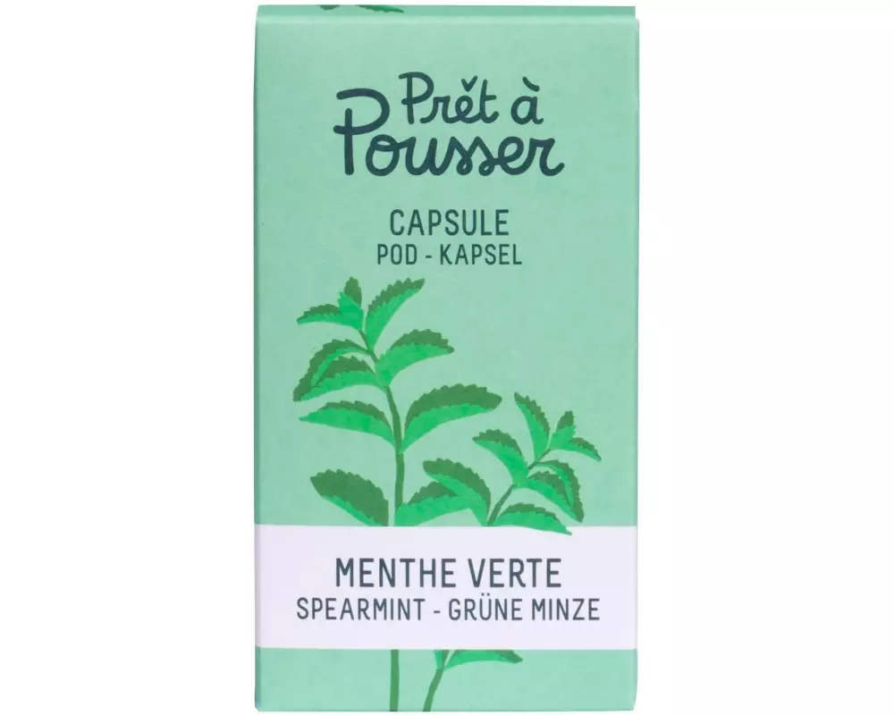 Prêt à Pousser Samen Grüne Minze