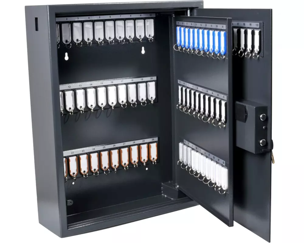Pavo Schlüsselsafe Magnettag 100 Haken, Grau