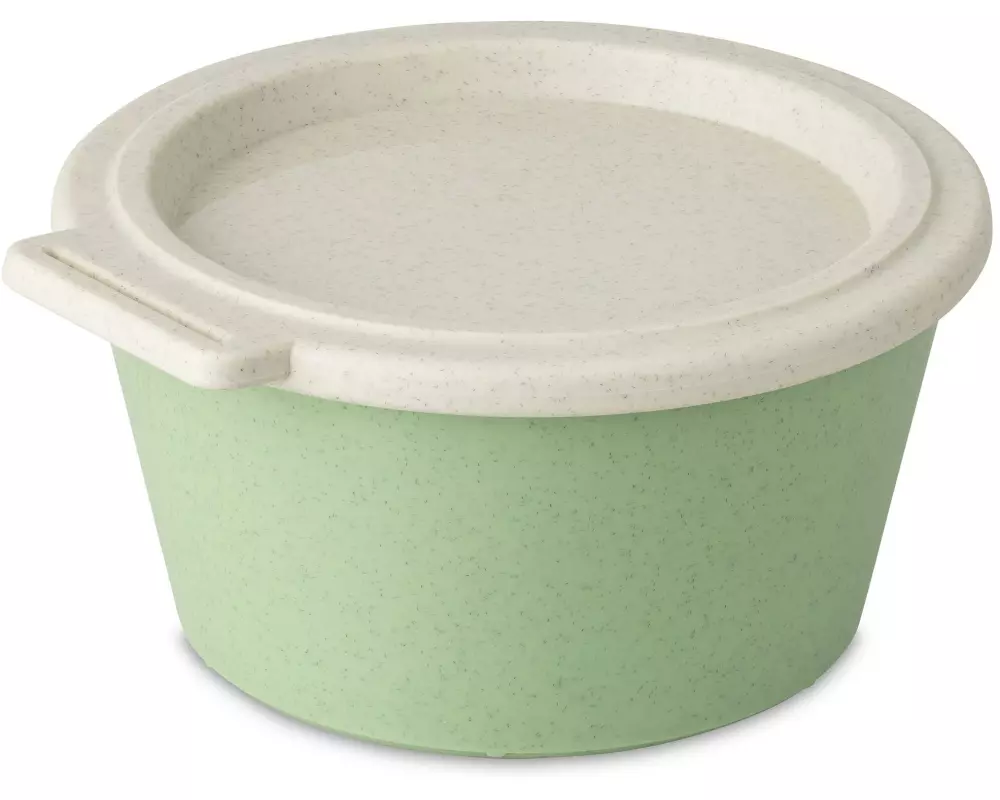 Koziol Schale Move Box mit Deckel 700 ml, Grün