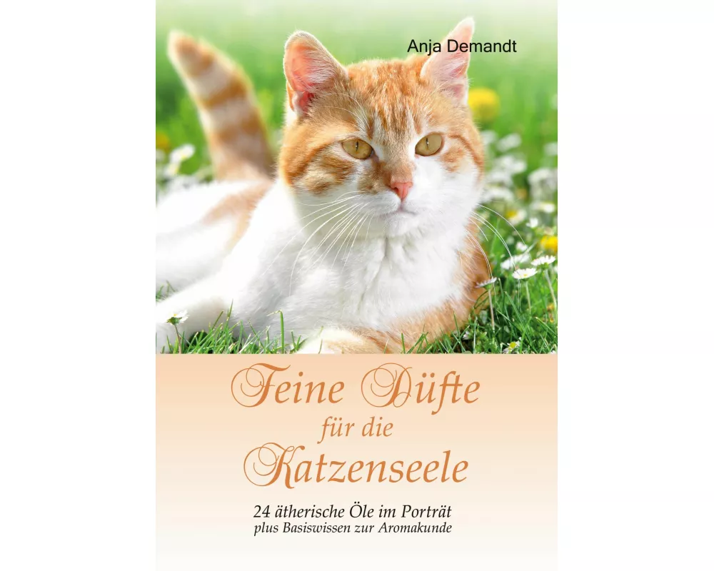 Feine Düfte für die Katzenseele