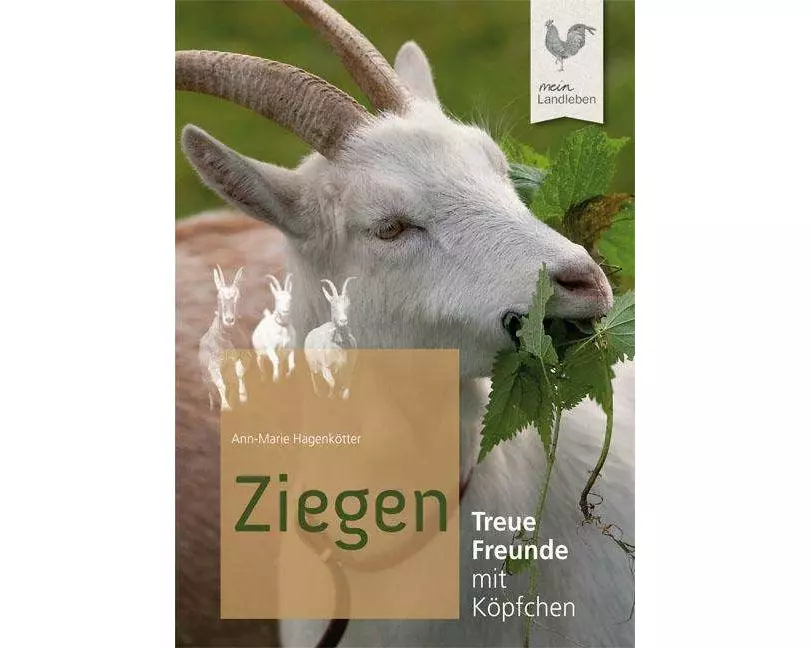 Ziegen