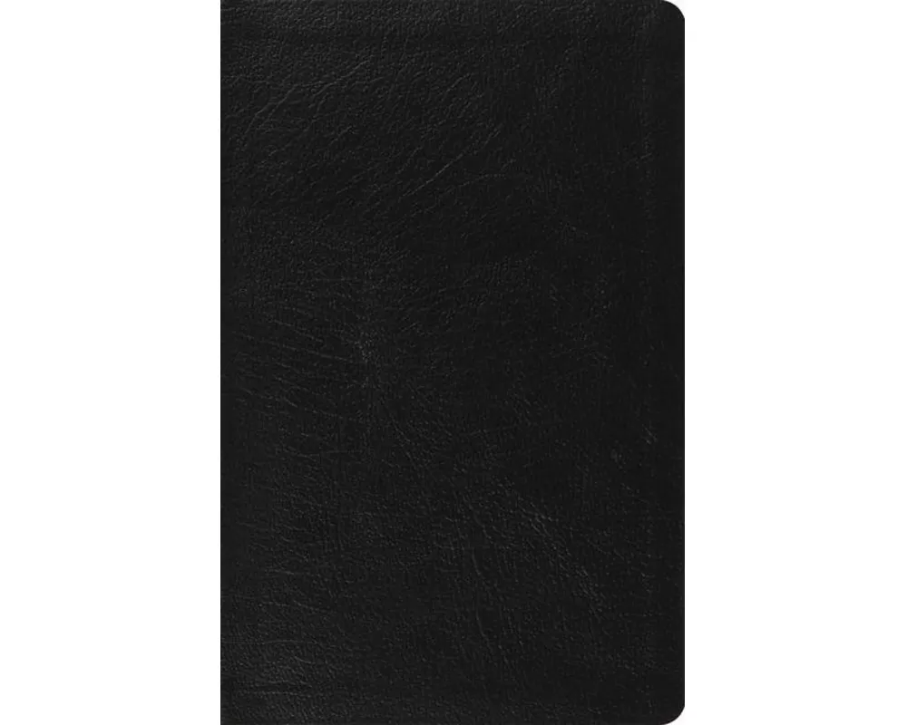 ESV Large Print Thinline Reference Bible