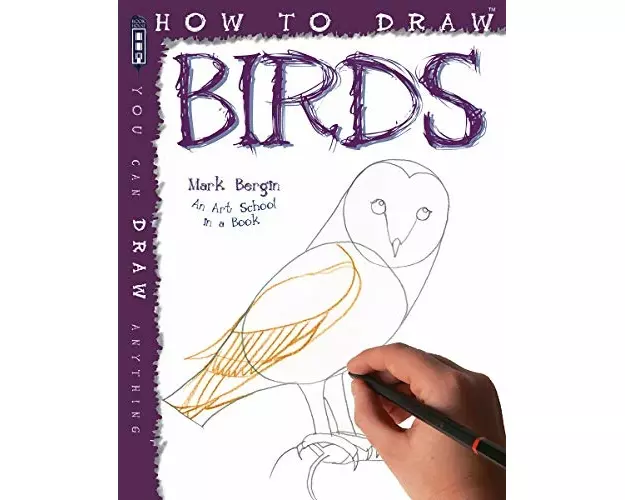 How To Draw Birds