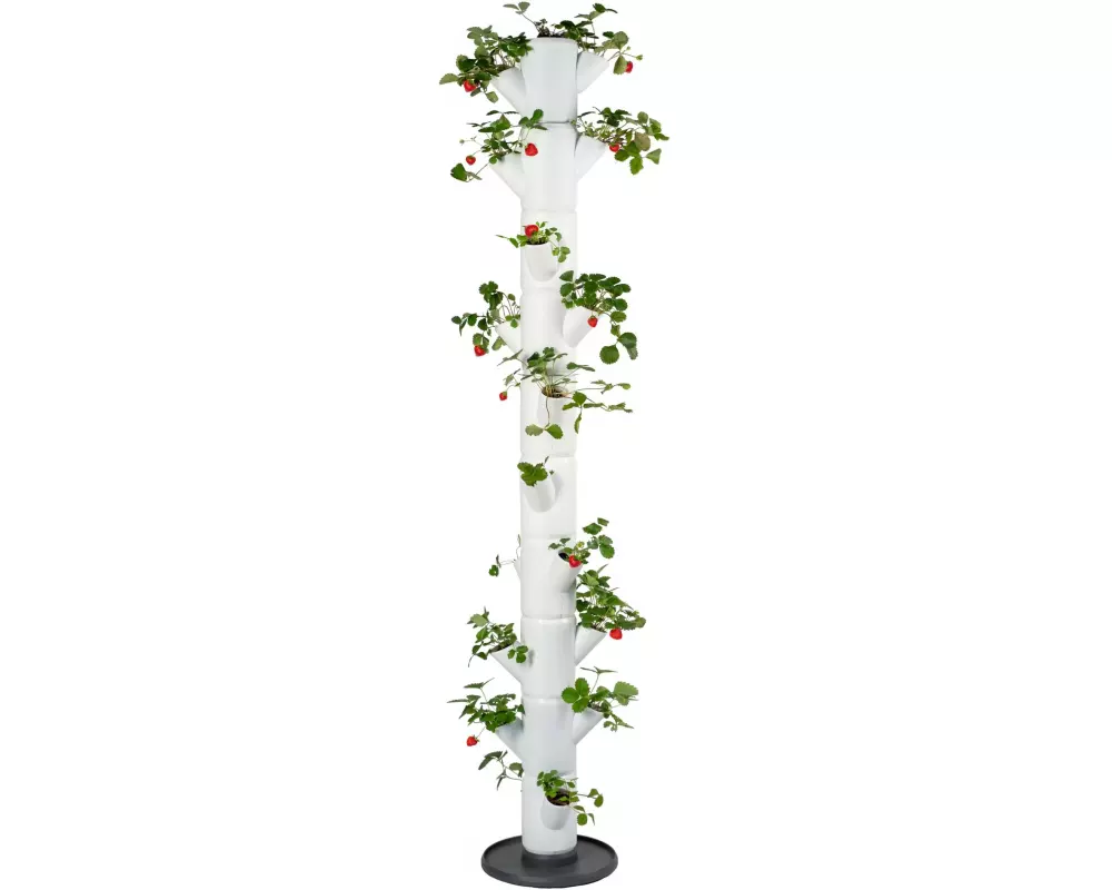 Gusta Garden Aufzuchttöpfe SISSI STRAWBERRY Infinity, Weiss