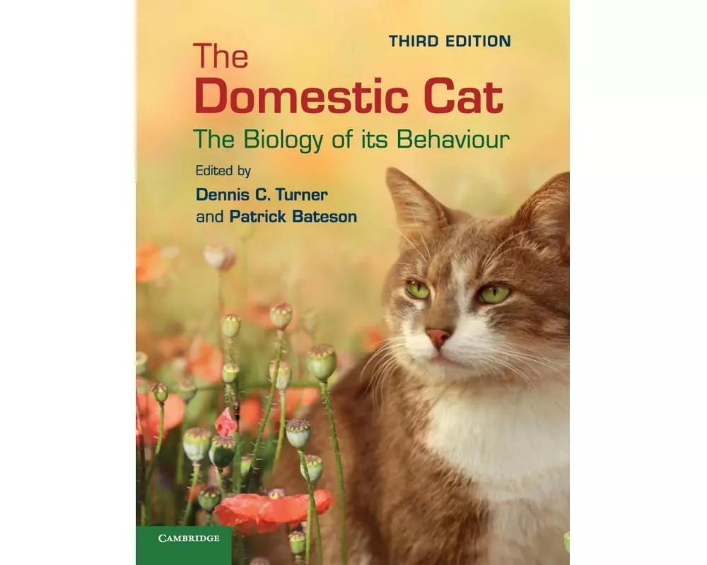 The Domestic Cat