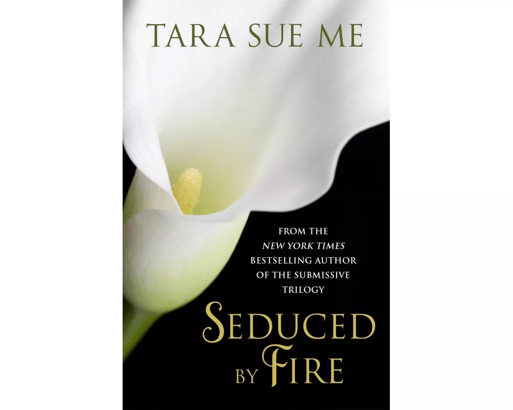 Seduced by Fire: A Partners in Play Novel