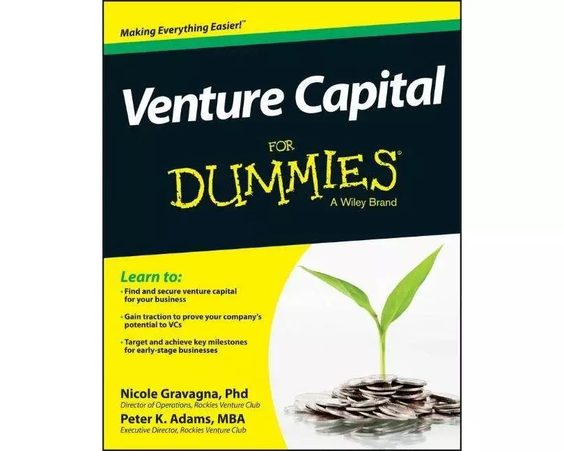 Venture Capital For Dummies