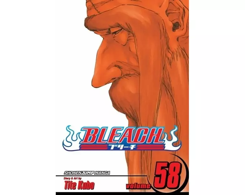 Bleach Volume 58