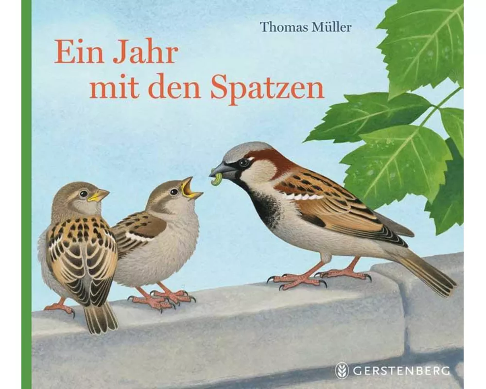 Ein Jahr mit den Spatzen