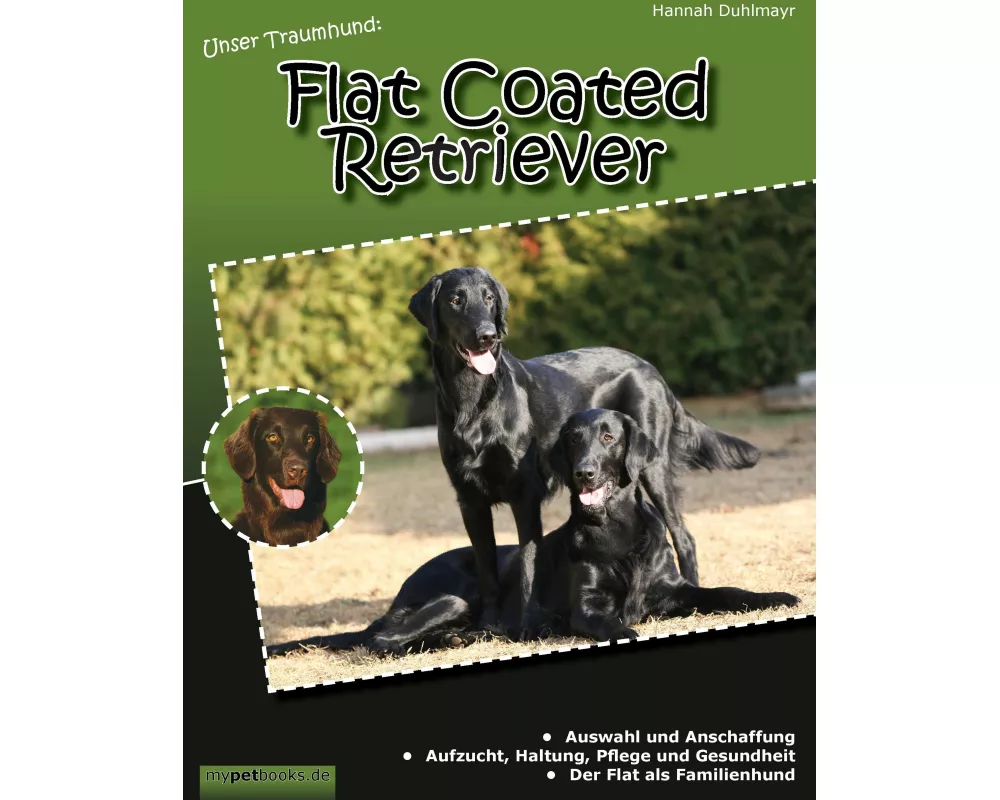 Unser Traumhund: Flat Coated Retriever