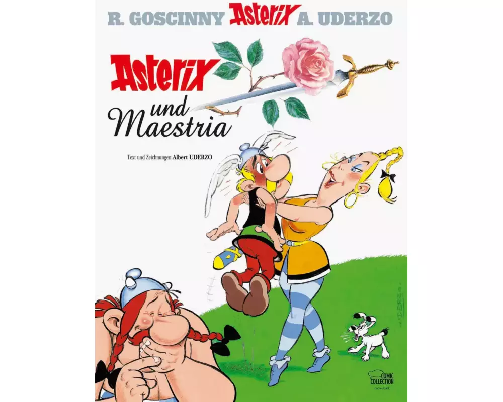 Asterix 29