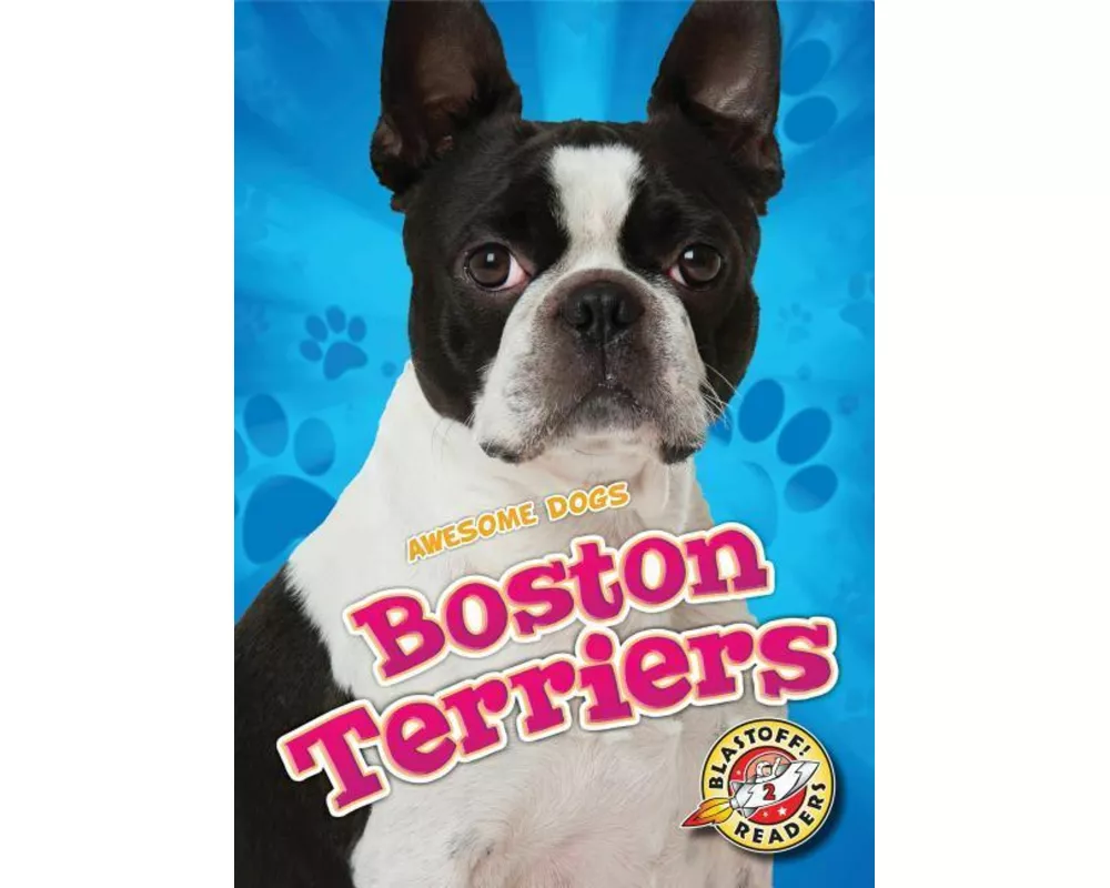 Boston Terriers