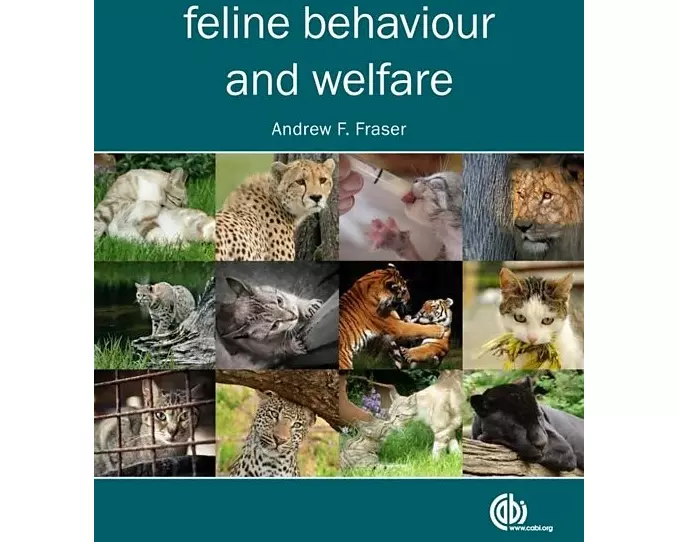Feline Behaviour and Welfare