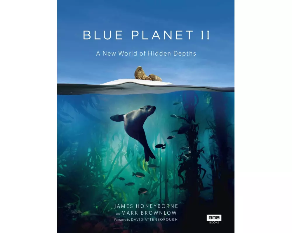Blue Planet II