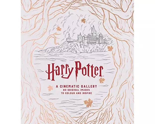 Harry Potter A Cinematic Gallery