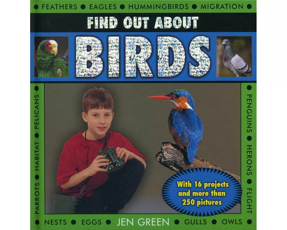 Find Out About Birds