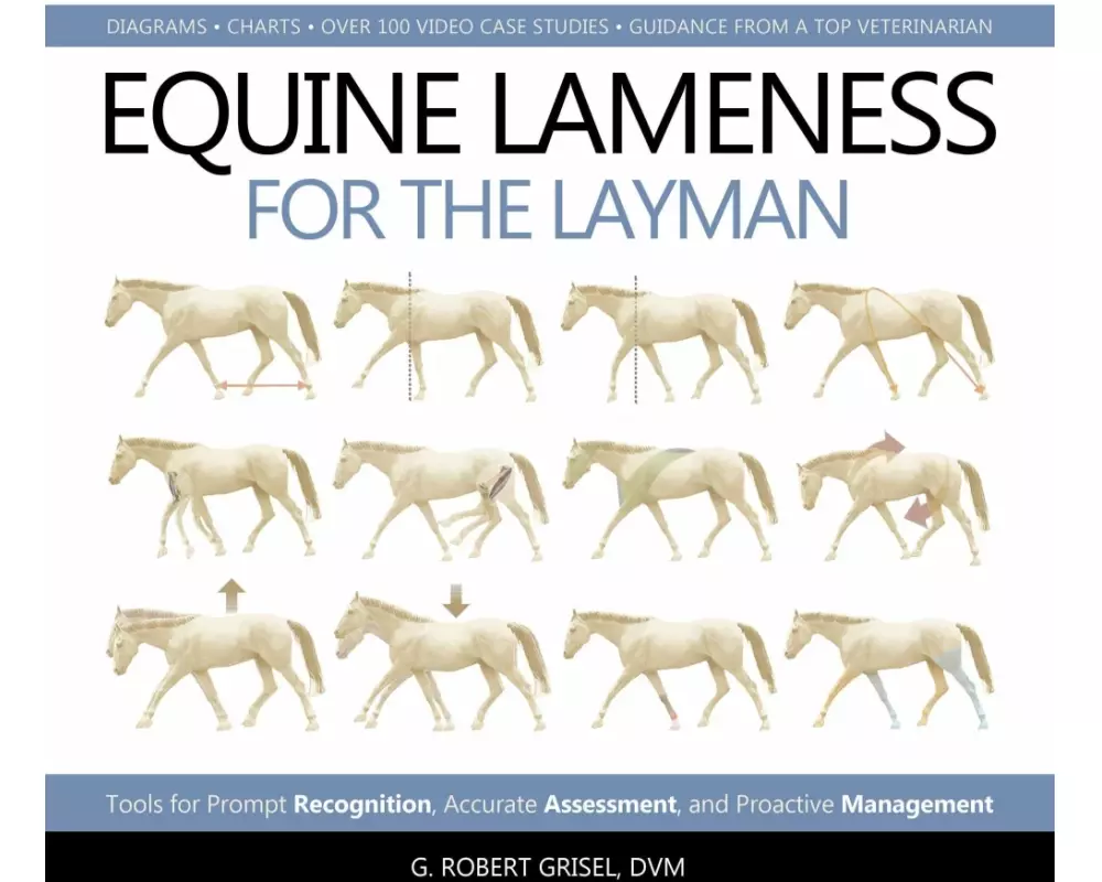 Equine Lameness for the Layman