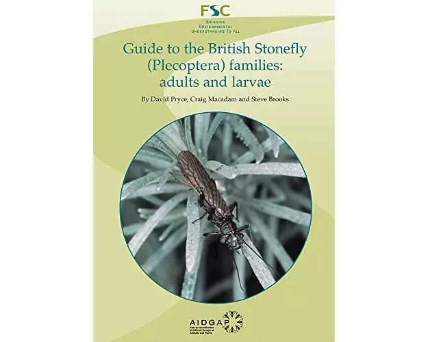 Guide to the British Stonefly (plecoptera) Families: Adults and Larvae