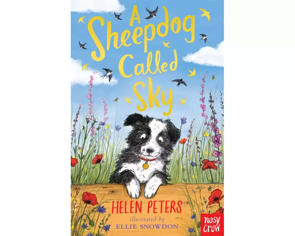 A Sheepdog Called Sky