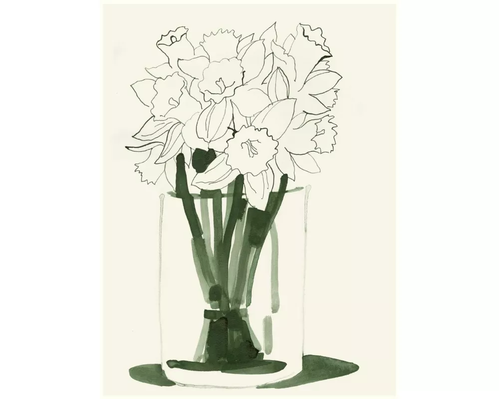 Daffodils (Postkarte, 20 Ex)