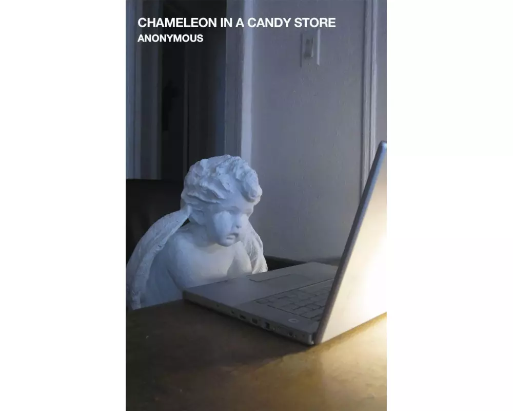 Chameleon in a Candy Store