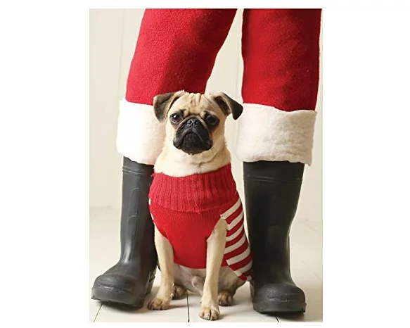 Pug Elf Notecards