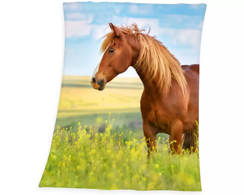 Herding Decke Pferd 130 x 160 cm, Blau/Braun/Grün