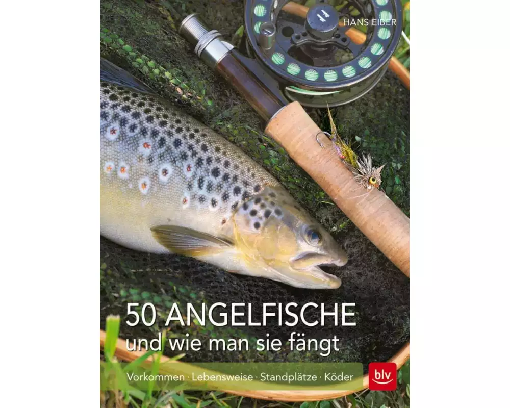 50 Angelfische und wie man sie fängt