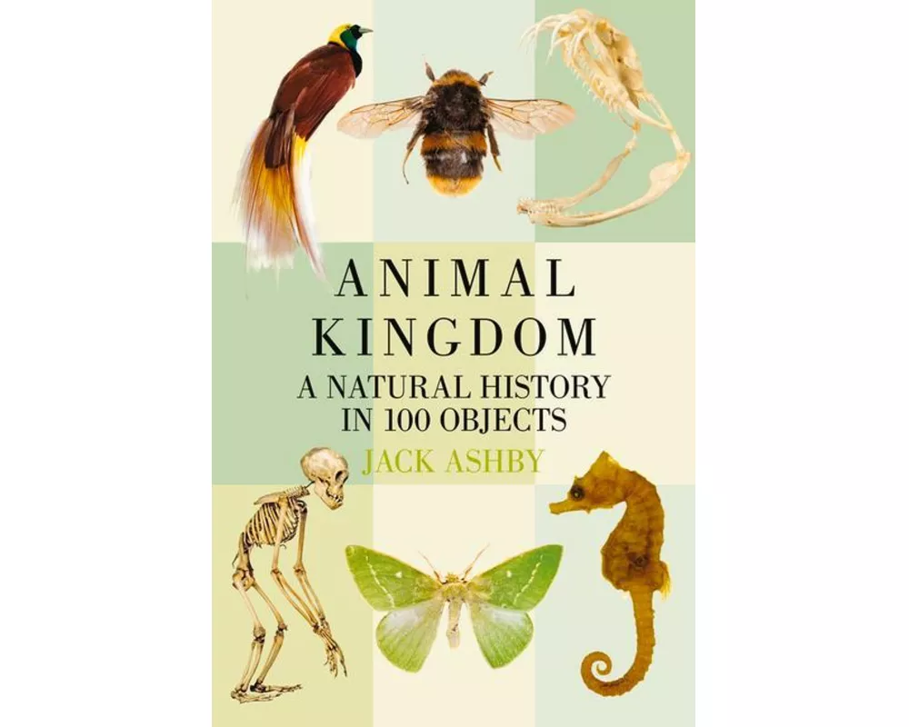 Animal Kingdom