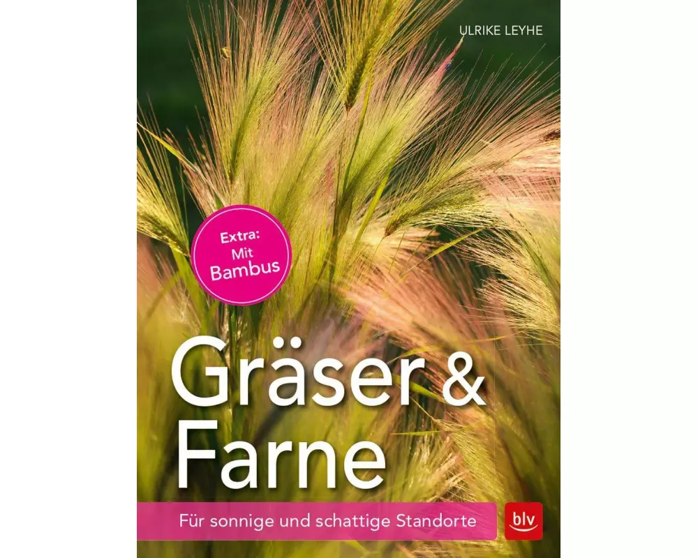Gräser und Farne