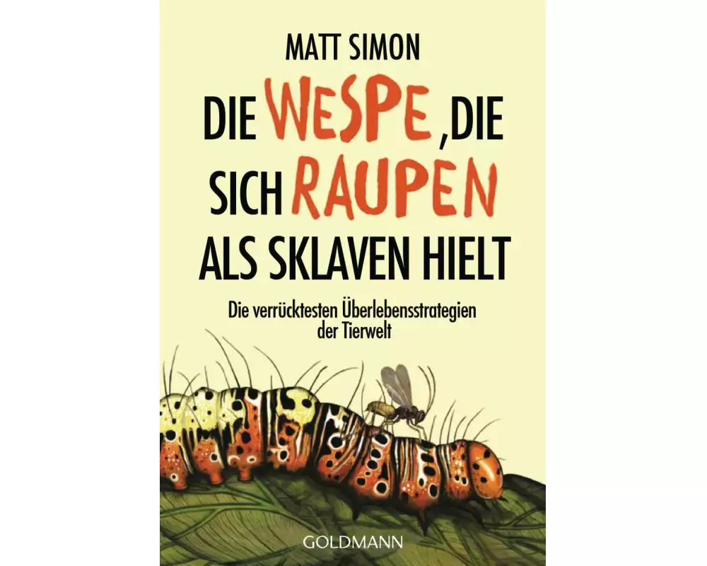 Die Wespe, die sich Raupen als Sklaven hielt