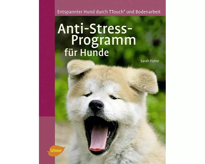 Anti-Stress-Programm für Hunde
