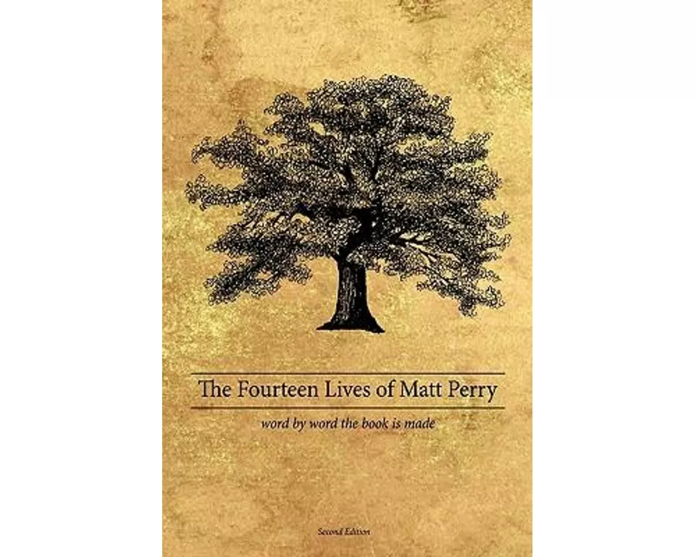 The Fourteen Lives of Matt Perry