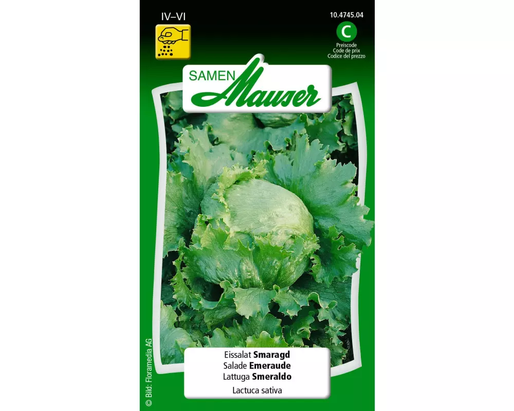Samen Mauser Samen Eissalat Smaragd