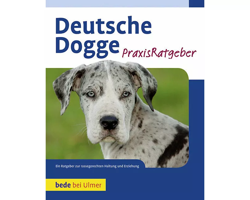 Deutsche Dogge