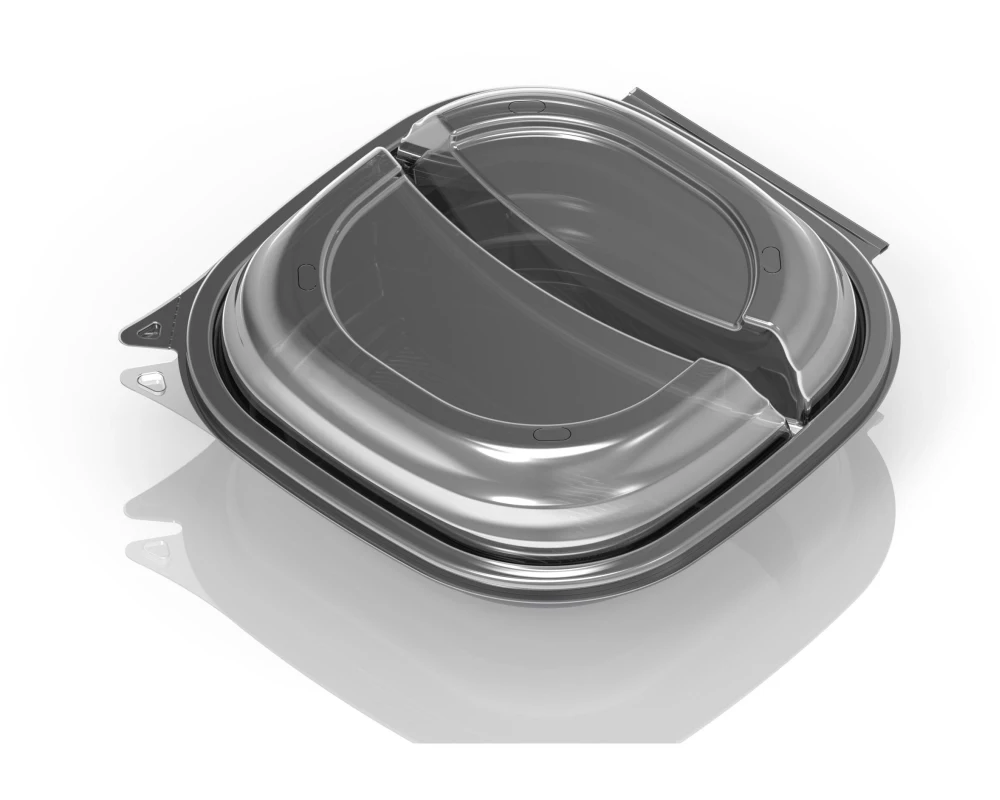 Duni Einweg-Schale Vista 25 Stück, 2-teilung, 670/460 ml