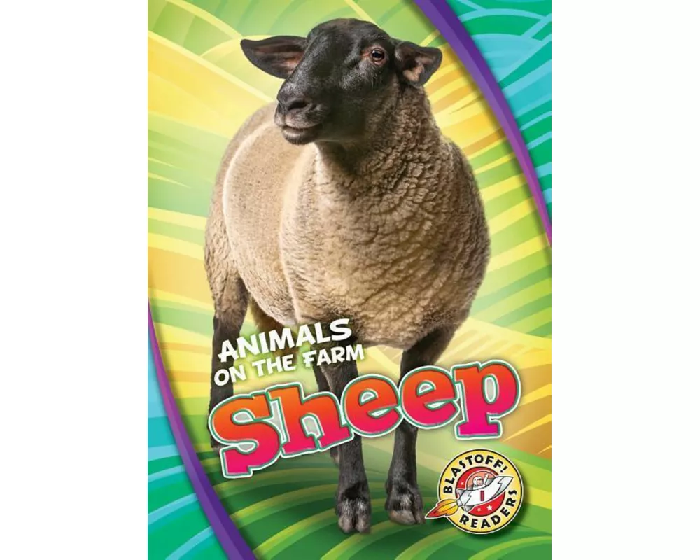 Sheep
