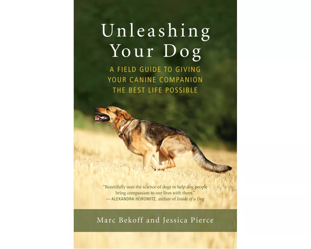 Unleashing Your Dog