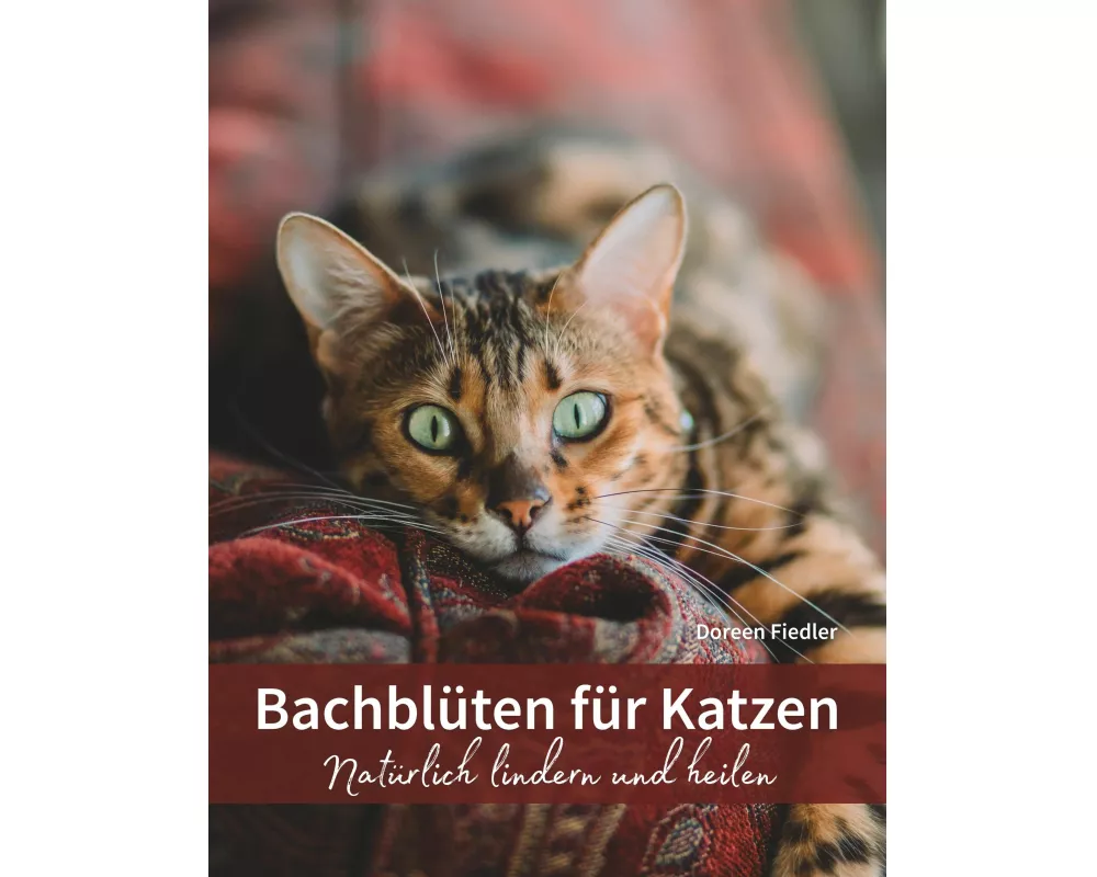 Bachblüten für Katzen