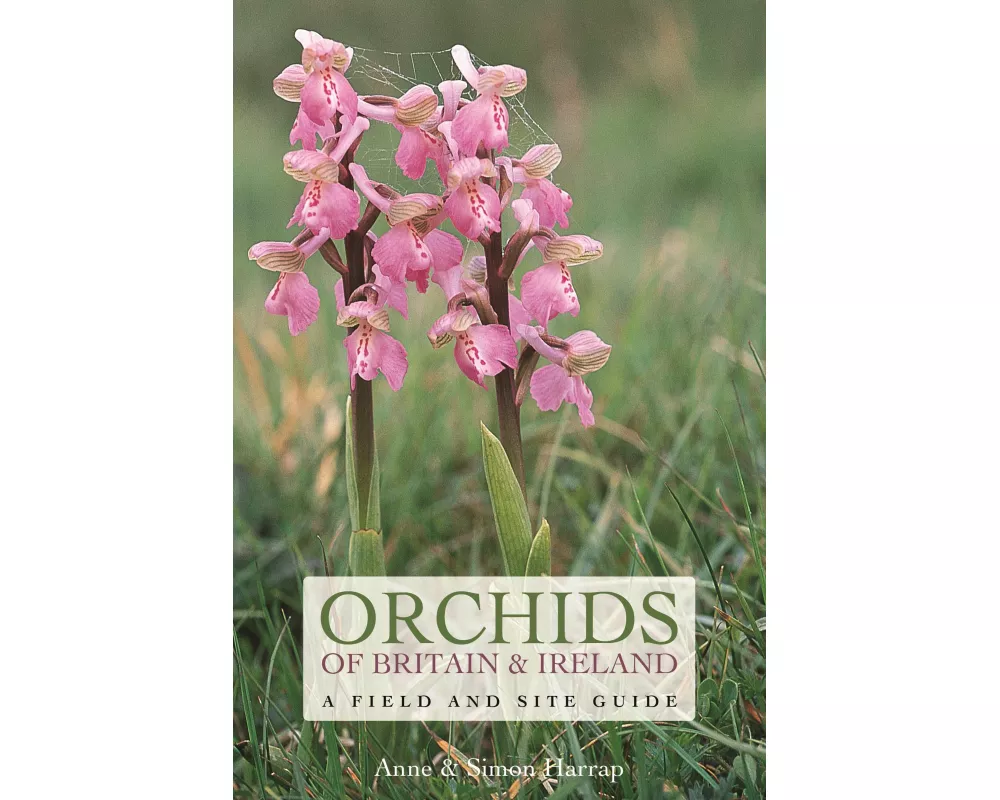 Orchids of Britain and Ireland
