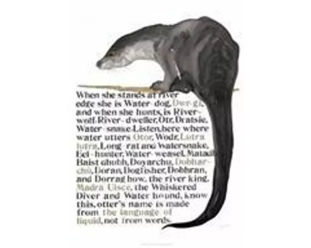Jackie Morris Poster: Names of the Otter, The
