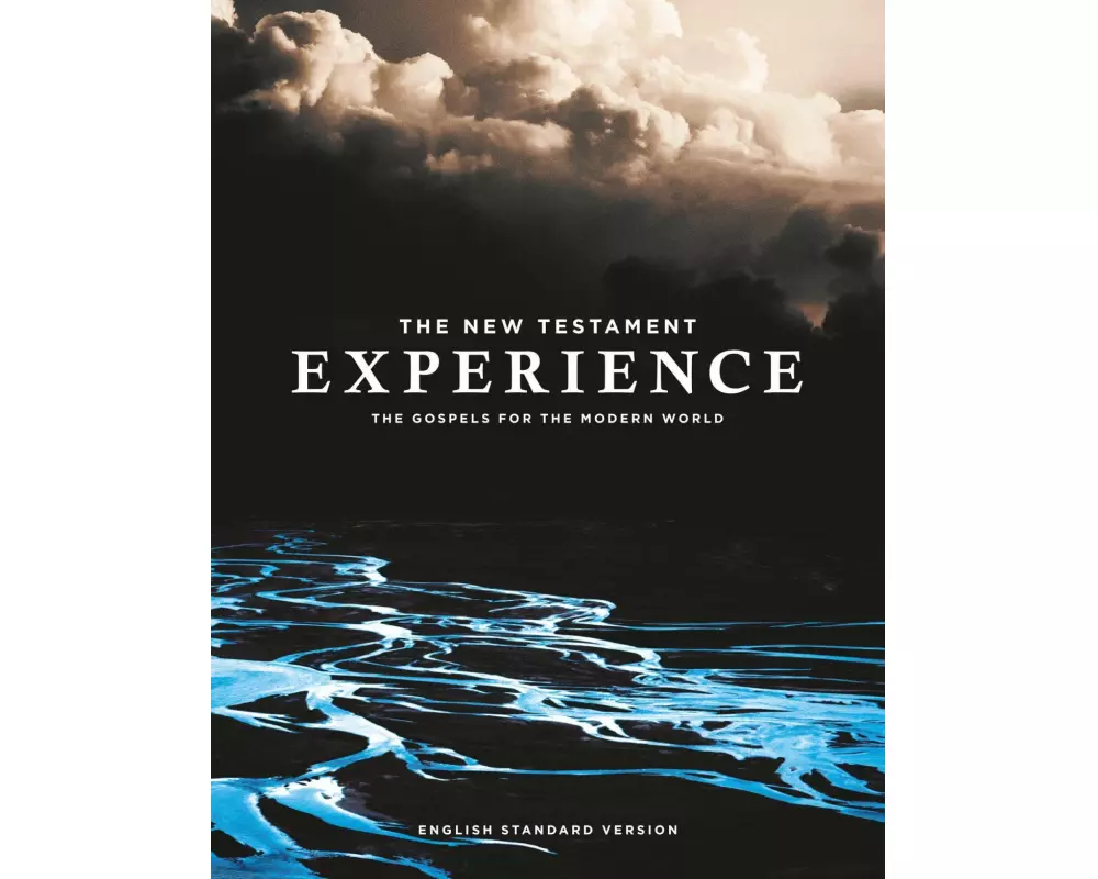 The New Testament Experience
